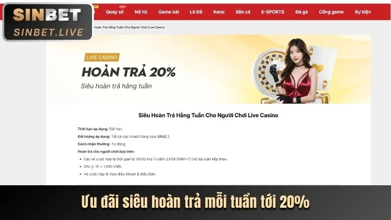Biểu đồ cấp độ VIP topzo web